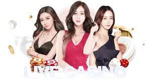 九博体育 (JIUBO SPORT)官方网站 - 最专业体育游戏娱乐平台